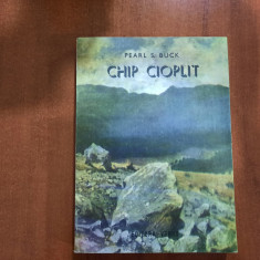Chip cioplit de Pearl S.Buck