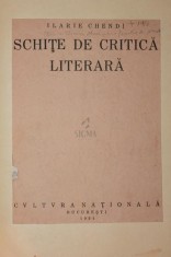 SCHITE DE CRITICA LITERARA