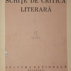 SCHITE DE CRITICA LITERARA