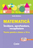 Matematică. &Icirc;nvăţare, aprofundare, recapitulare. Teste pentru clasa a VI-a, Corint