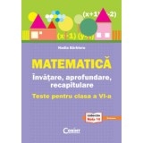 Matematică. &Icirc;nvăţare, aprofundare, recapitulare. Teste pentru clasa a VI-a