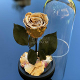 Cumpara ieftin Trandafir Criogenat auriu metalizat &Oslash;6,5cm in cupola 10x20cm