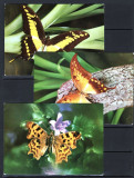 ITALIA - FAUNA. FLUTURI EXOTICI. 5 ILUSTRATE MNH, FDCS31