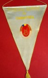 Fanion Sportiv (perioada comunista) - FEDERATIA de GIMNASTICA din ROMANIA (dimensiuni mari 46x31 cm)
