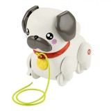 Jucărie de Plimbat, Fisher Price, Walk-The-Pup, Urechi și Picioare Mobile, Sunet Lătrat, Pentru Copii 12+ Luni, Plastic