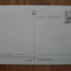 Lot 2 carte postala Dacia 1100 RSR circulata Piatra Neamt necirculata Sighet