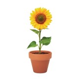 Ghiveci Floarea Soarelui Ceramica, Seminte de Plantat, Mini Vas Teracota, 6x5.5x5 cm, Dalimag