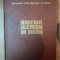 INDICATORUL LOCALITATILOR DIN ROMANIA de ION IORDAN , PETRE GASTESCU , D. I. OANCEA , Bucuresti 1974