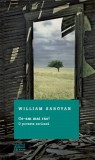 Ce-am mai ras! O poveste serioasa | William Saroyan, Litera