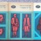 Feuchtwanger - Vulpile In Vie - 3 Volume, 1973; BPT 322-324, total 1125 pag