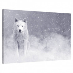 Tablou Canvas, Tablofy, Storm, Printat Digital, 70 &times; 50 cm