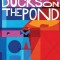 Ducks on the Pond