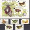 DB1 Fauna Fluturi Jersey 1995 5 v. + SS MNH