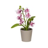 Ghiveci decorativ cu Orhidee artificiala, 6x17 cm, ATU-086346, Oem