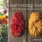 Harvesting Color: How to Find Plants and Make Natural Dyes
