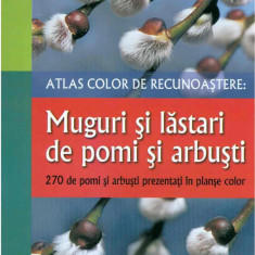 Muguri si lastari pentru pomi si arbusti - Atlas de recunoastere | Bernd Schulz