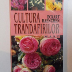 CULTURA TRANDAFIRILOR DE ECKART HAENCHEN