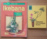 IKEBANA - VIOLETA TUIU/ LAURA SIGARTEU