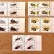 TIMBRE ROMANIA MNH LP1404/1996 -INSECTE I -(uzuale) -Bloc de 4 timbre
