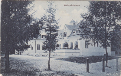 CP SIBIU Hermannstadt Waldwirtshaus ND(1917) foto