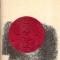 Fructele iernii - Bernard Clavel