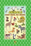 Animale - versuri adunate rime minunate - Aquila