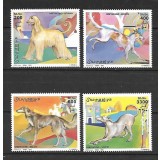 SOMALIA 2003 FAUNA ANIMALE DOMESTICE CAINI