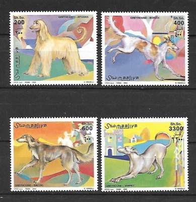 SOMALIA 2003 FAUNA ANIMALE DOMESTICE CAINI foto