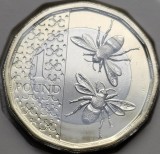 1 pound 2025 Marea Britanie, Charles al-III-lea, Brilliant uncirculated din set anual, km#2627, Europa