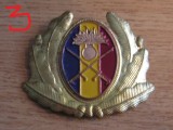 QW14 - Emblema militara / cuc - uscat - anii 1990 - piesa de colectie