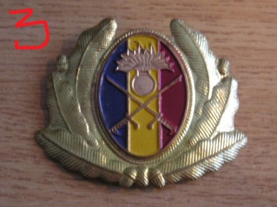 QW14 - Emblema militara / cuc - uscat - anii 1990 - piesa de colectie foto