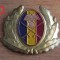 QW14 - Emblema militara / cuc - uscat - anii 1990 - piesa de colectie