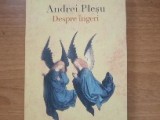 Despre ingeri - Andrei Plesu, Humanitas