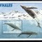 BAT Ter. Antarctic Britanic 1996, Mi #254 = Bl 4**, colita, fauna, balena, MNH! Cota 15 &euro;!