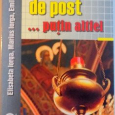 PREPARATE DE POST, PUTIN ALTFEL de ELISABETA IORGA, MARIUS IORGA, EMILIA DELIU, 2013