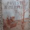 Poveste despre copilarie F. Gladcov