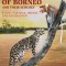 Phillipps&#039; Field Guide to the Mammals of Borneo and Their Ecology: Sabah, Sarawak, Brunei, and Kalimantan