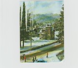 bnk cp Sinaia - Vila Panseluta - necirculata