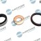 Set Garnituri Etansare,Injectoare 250134 DRM017