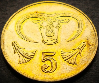 Moneda exotica 5 CENTI - CIPRU, anul 2001 * cod 4246 foto