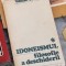 Idoneismul, filosofie a deschiderii - Vasile Tonoiu