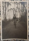 Tanar cu bicicleta, intr-o padure// fotografie