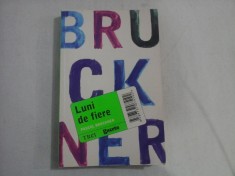 LUNI DE FIERE (roman) - Pascal BRUCKNER