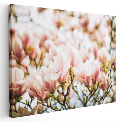 Tablou flori de magnolie roz Tablou canvas pe panza CU RAMA 80x120 cm foto
