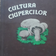 CULTURA CIUPERCILOR - M. BULBOACA