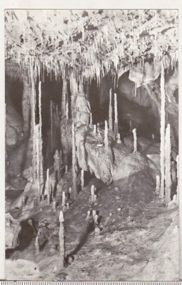 bnk cp Pestera Topolnita - Vedere - necirculata foto