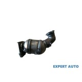 Catalizator Fiat Grande Punto (10.2005-&gt;) [199_]