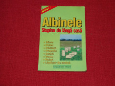 Albinele - Stupina de langa casa foto