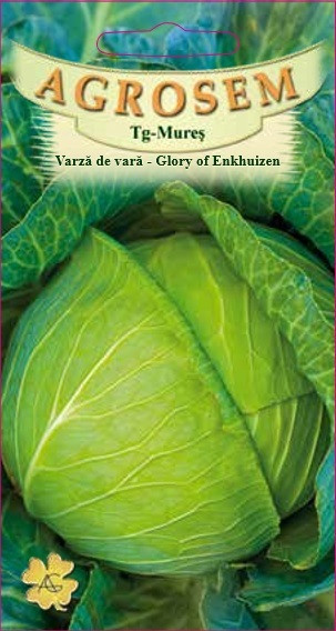 VARZA DE VARA - GLORY OF ENKHUIZEN, 4 g