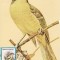 C4079 - Romania 1991 - Pasari carte postala maxima